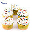 Shop in Sri Lanka for Delicious Rainbow Cupcake Gift Box - 5 Pieces