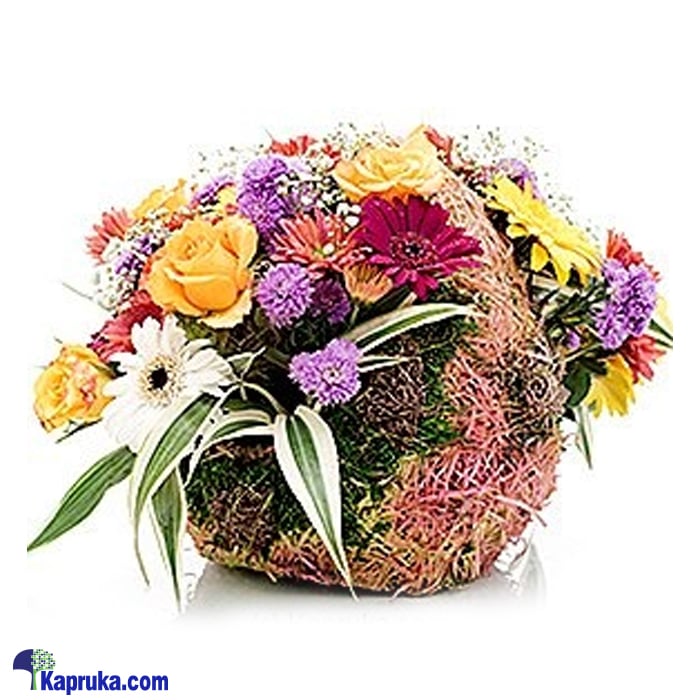 Wildly Charmed By You Online at Kapruka | Product# flowers00T529