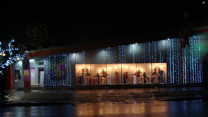 Fashion Bug Colpetty