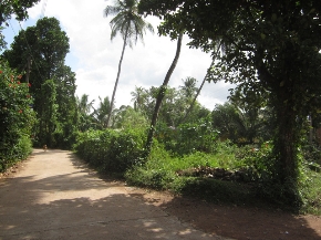 Sri Lanka land at Hokandara