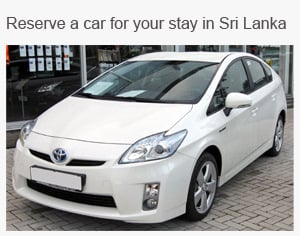 Rental Cars in Sri Lanka  Reserve Online