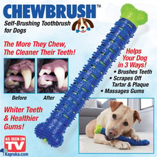 ChewBrush Self Brushing Toothbrush for Dogs Chew Brush Dog Bone Toy Dog Teeth Cleaning Pets Dental Buy Chewbrush Online for specialGifts