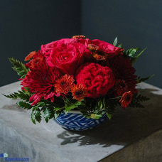 Pom pom love Arrangement - By Shirohana Buy Huejay International Multiflora (pvt) Ltd Online for specialGifts
