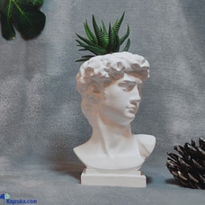 Zebra Cactus Plant in David Statue Pot Buy Dhanush Enterprises Online for Flowers