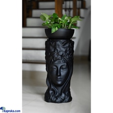 Queen Pot with Pothos Pot - Black Buy None Online for specialGifts
