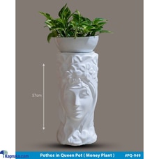 Queen Pot with Pothos Pot - White Buy None Online for specialGifts