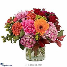 LUSCIOUS POSY  Online for intgift