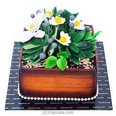 Flower Pot Ribbon Cake Buy Cake Delivery Online for specialGifts