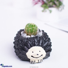 Cactus Plant In Cute Hedgehog Pot Buy Flower Delivery Online for specialGifts