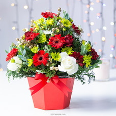 Noel Blooms Christmas Arangement Buy Flower Delivery Online for specialGifts