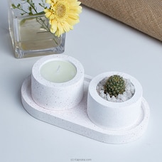 Cactus with a Scented candle Buy Flower Delivery Online for specialGifts