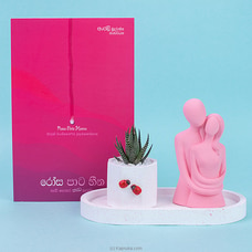 Match Made In Heaven Cactus Plant With Couple Statue And `Rosa Pata Heena`Book - Gift For Her , Gift Buy Flower Republic Online for flowers