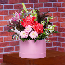 Blooms With Choco Buy Flower Delivery Online for specialGifts