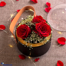 Red Rose Enchantment Globe Arrangement Buy valentine Online for specialGifts