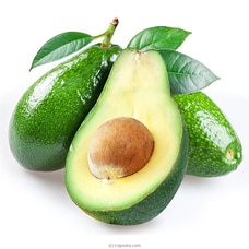 Avocado Buy Kapruka Agri Online for specialGifts