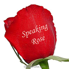 Speaking Roses  Online for specialGifts