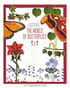 The World Of Butterflies Buy Big Bad Wolf Online for specialGifts