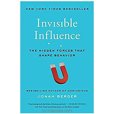 Invisible Influence Buy Big Bad Wolf Online for specialGifts