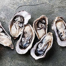 Fresh Oysters-10 Shell  Pack (Un- Shuck)  Online for specialGifts