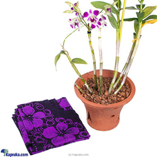 I Love You Mom Gift Pack- PURPLE MIXED KAFTAN- DENDROBIUM ORCHID PLANT Buy womens day Online for specialGifts