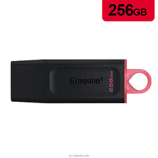 KINGSTON 256GB Pen Drive (DTX) Buy KINGSTON Online for specialGifts