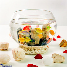Love Boat Marina -the Fish Glass Bowl For Lovers VALENTINE at Kapruka Online