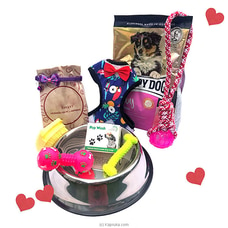 Puppy Premier Selection - Gift pack for dog care and love Buy On Prmotions and Sales Online for specialGifts
