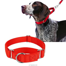Martingale Soft Nylon Dog Neck Collar, Safety Adjustable P Chain Slip Cinch Pet Choke Behaviour Training Collars at Kapruka Online