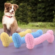 Small Rubber Bone Shaped Dog Toy Molar Bite Resistant Chew Toy For Small Pet Puppy Outdoor Training Pet Supplies Toys  Online for specialGifts