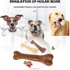 Hard Plastic Product Pet Puppy Dog Bone Chew Dental Toy For Aggressive Chewers Buy pet Online for specialGifts