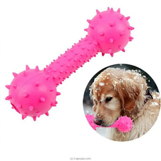 Rubber Bone Shaped Dog Toy spiky Molar Bite Resistant Chew Toy for Small Pet Puppy Outdoor Training Pet Supplies Toys  Online for specialGifts