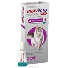 Bravecto PLUS For Cats 500mg 1x1TAB - BRAV-500MG-PLUS Buy pet Online for specialGifts