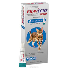 Bravecto PLUS For Cats 250mg 1x1TAB - BRAV 250MG-PLUS Buy pet Online for specialGifts