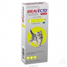 Bravecto PLUS For Cats 112.5mg 1x1TAB - BRAV 112.5MG-PLUS Buy pet Online for specialGifts