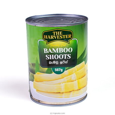 The Harvester Whole Bamboo Shoots 567g Buy Online Grocery Online for specialGifts