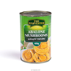 The Harvester Whole Abalone Mushrooms 425g Buy Online Grocery Online for specialGifts