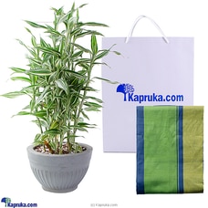 LungiLife- Cotton lungi with Sandriana home deco Plant Buy Islandlux Online for specialGifts
