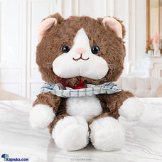 Charlie The Cat - 10.5 inches Plush Toy Buy Soft and Push Toys Online for specialGifts