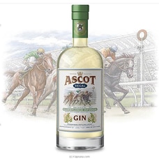 Ascort Regal Elderflower Infusion Gin 43 ABV 750ml Buy New Additions Online for specialGifts