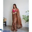Shop in Sri Lanka for Pure Organza Silk Saree With Prisom Print Enhance With Hand Jardoshi Work In Body With Beautiful Butta On Pallu