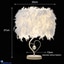 Shop in Sri Lanka for Feathers Table Lamp