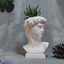 Shop in Sri Lanka for Zebra Cactus Plant In David Statue Pot