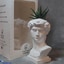 Shop in Sri Lanka for Zebra Cactus Plant In David Statue Pot
