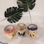 Shop in Sri Lanka for Gentleman & Two Beauties - Cactus Pots Collection ( NO PLANTS INCLUDED - Pots Only )