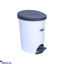 Shop in Sri Lanka for 10 LTS GARBAGE BIN WITH PEDAL TYPE