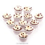 Shop in Sri Lanka for Vanilla Chip Cupcake - 12 Piece Cupcake