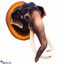 Shop in Sri Lanka for Wall Hanging Tusker Elephant - 11 Inch