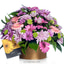 Shop in Sri Lanka for Bloom Room Pot Arrangement Of Gerberas With Chrysanthemum