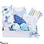Shop in Sri Lanka for Adore Fairy Blue- New Born Gift Pack For Baby Boy