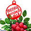 Shop in Sri Lanka for 'merry Christmas' Cherry Blossom Christmas Gateau